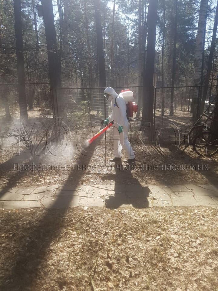 Уничтожение клещей на участке в Черноголовке