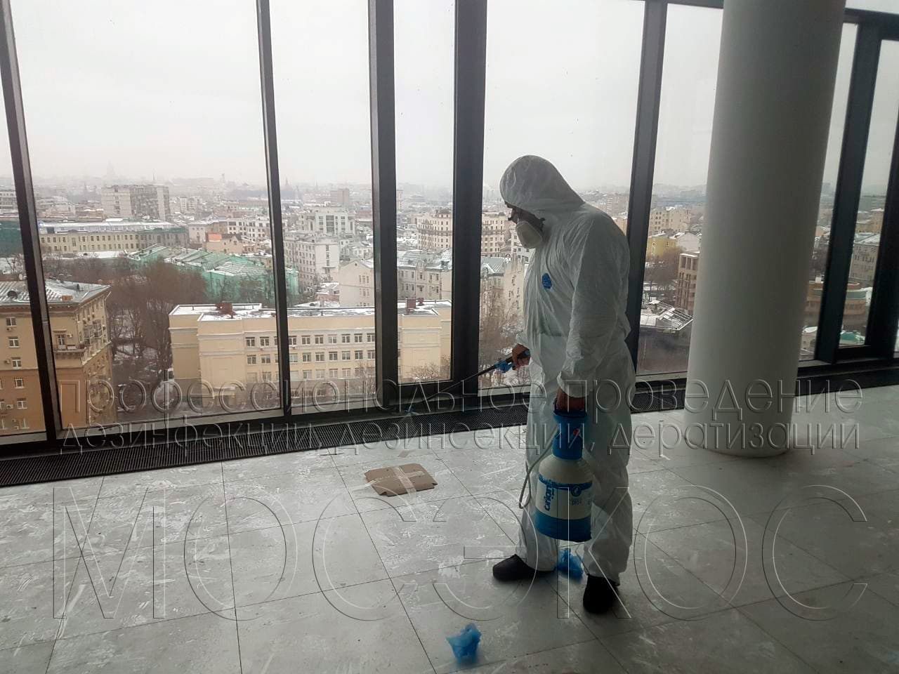 Дезинсекция квартиры от клопов службой СЭС Черноголовки
